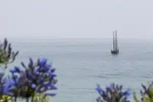 Bay Hotel Morning View from the Hotel