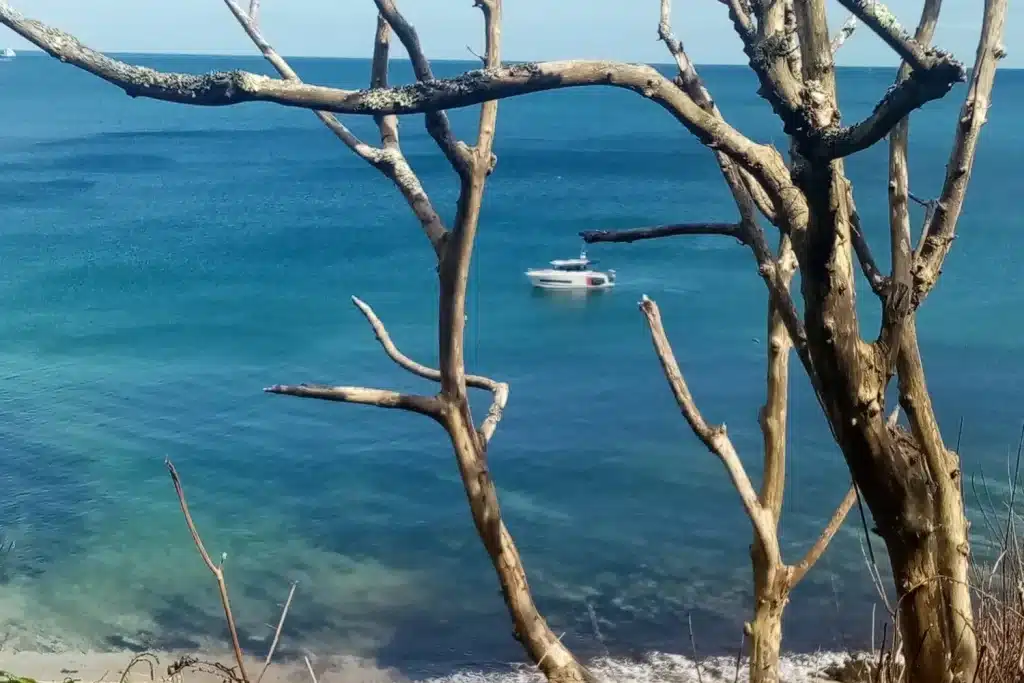 Penmere Manor Hotel Scenic View Nearby