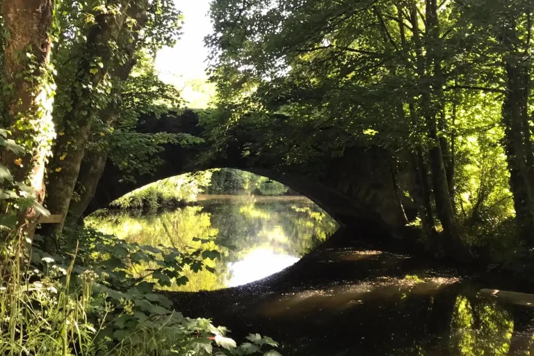 Bush Farm Wild Camping Stunning Scenery and Lake.webp