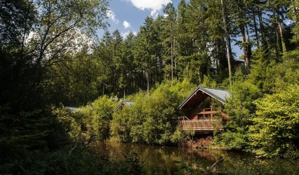 Forest Holidays Deerpark Cornwall Mill Pond View
