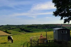 Hideaway Huts Shepherd's Hut and Hot Tub
