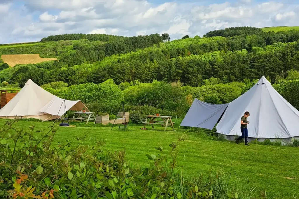 Higher Pendeen Camping and Bell Tents Grass Pitches