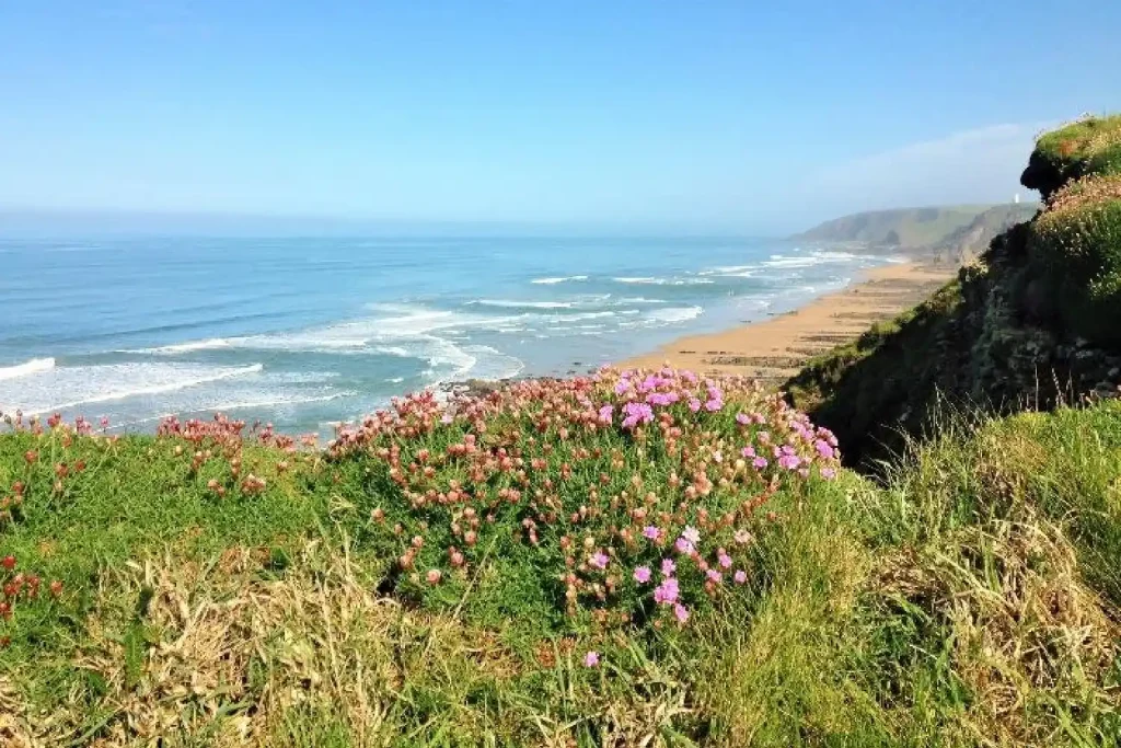 Hilton Farm Holidays Southwest Coastal Path