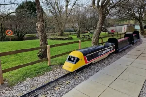 Lappa Valley Train Ride