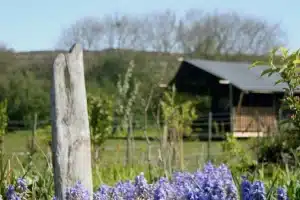 Little Nook Glamping Camping Field and Tent