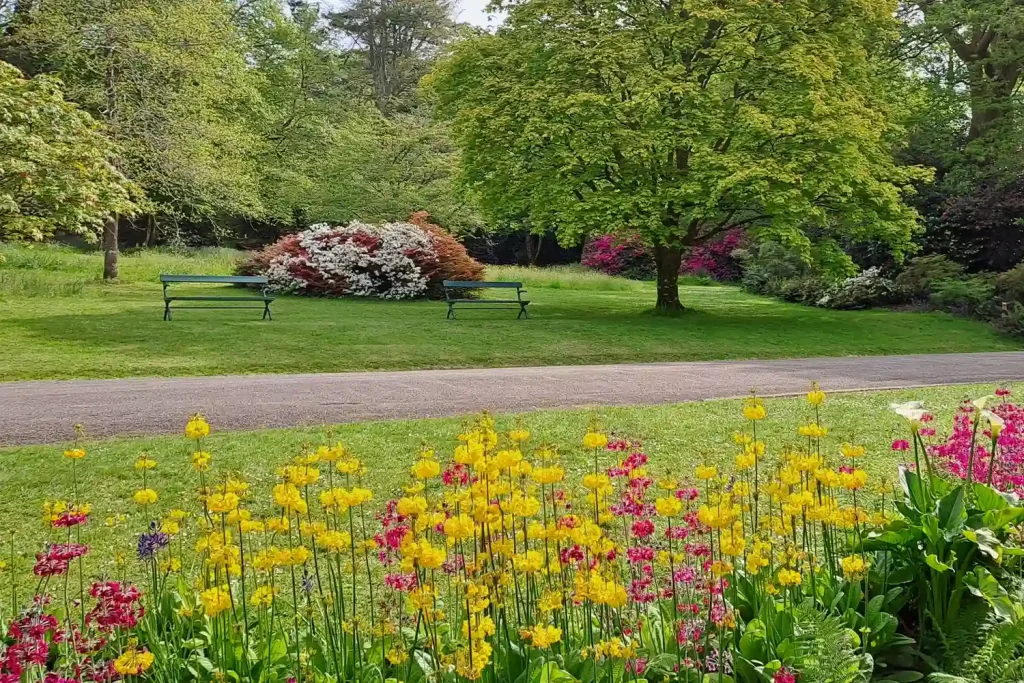 National Trust Trengwainton Garden Landscape