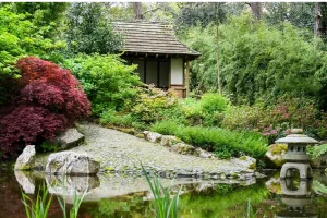 Pinetum Gardens Japanese Garden and Pond