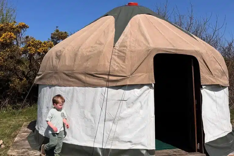 South Penquite Farm Baby Bear Yurt.webp