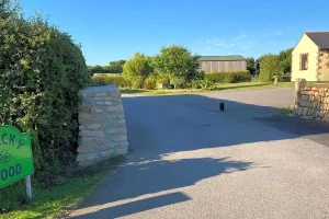 Specky Wood Cl Campsite Entrance