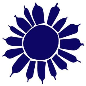 St. Eia Logo.jpg