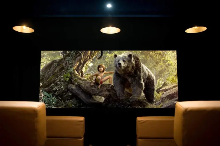 The Idle Rocks Hidden Cinema Amenities.webp