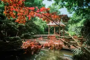 The Japanese Garden Cornwall Garden Pond