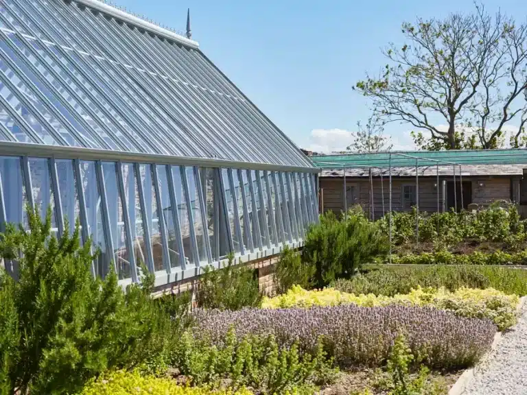 The Pig Hotel Greenhouse and Garden.webp