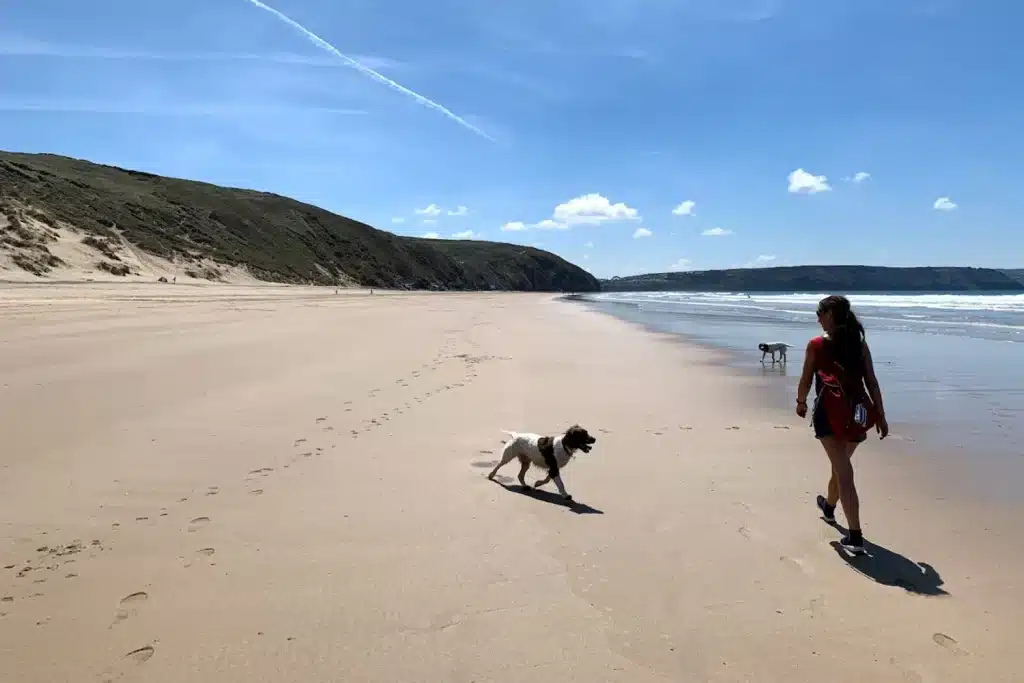 Tollgate Farm Caravan & Camping Park Nearby Beach