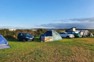 Tower Park Caravan & Camping Grass Pitch