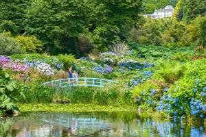 Trebah Garden Mallard Bridge