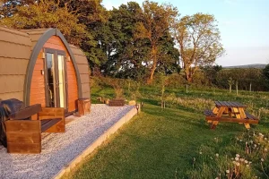 Trewithen Farm Glamping Cabin Patio