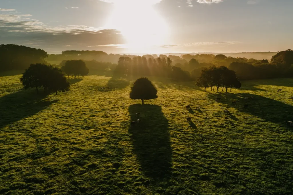 Trewithen Gardens Stunning Garden Landscape