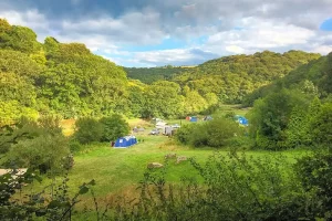 Watergate Camping Main Campsite