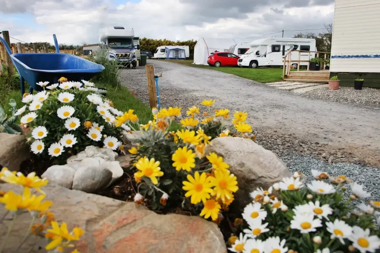 Welcombe X Campsite Camping Grounds 1.webp