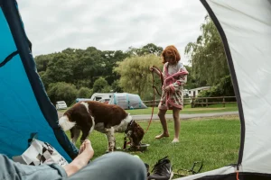 Willow Valley Holiday Park Camping Grounds