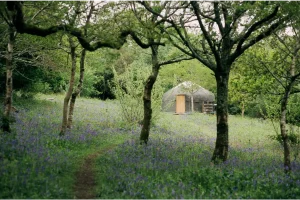 Yurtworks Green Man Yurt Good for 2