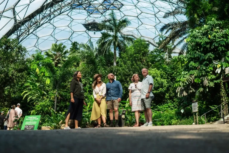 Eden Project Dome Interior 1.webp