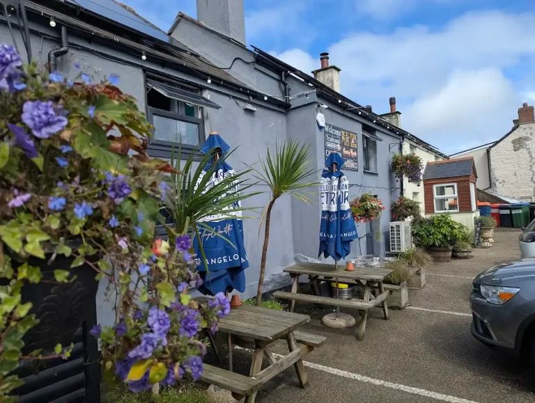 The Red Lion Outdoor Dining Area.webp