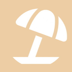 Umbrella Icon