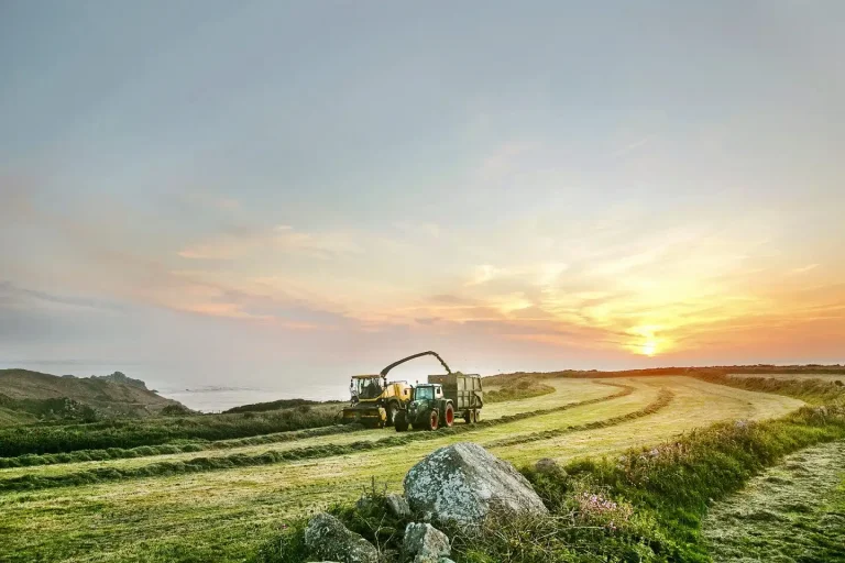 Moomaid of Zennor Cow Farm.webp
