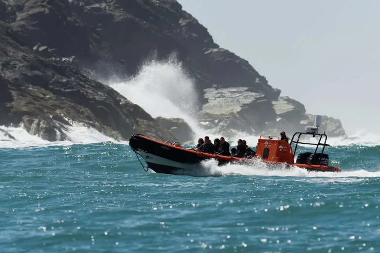 Padstow Sealife Safaris 2 Hour Tour 1.webp