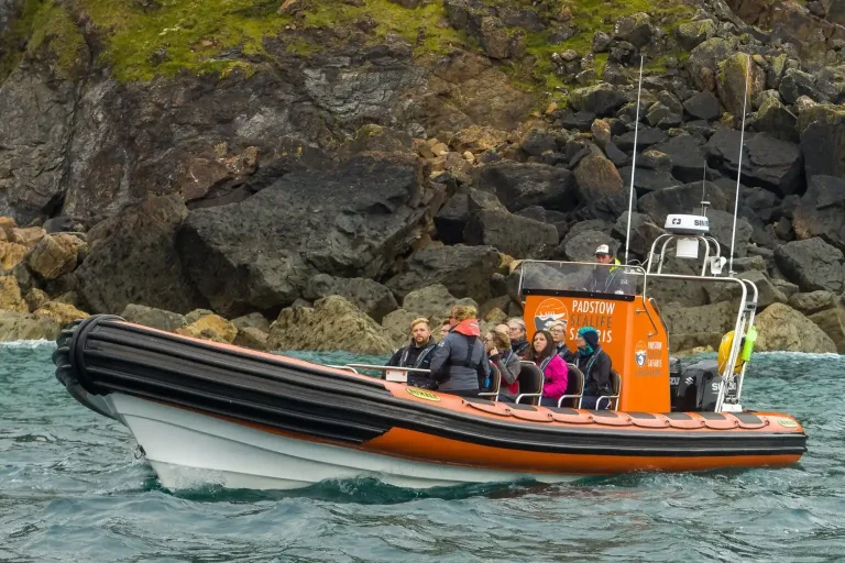 Padstow Sealife Safaris Boat 1.webp