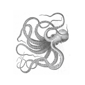 Porthminster Kitchen Logo.png