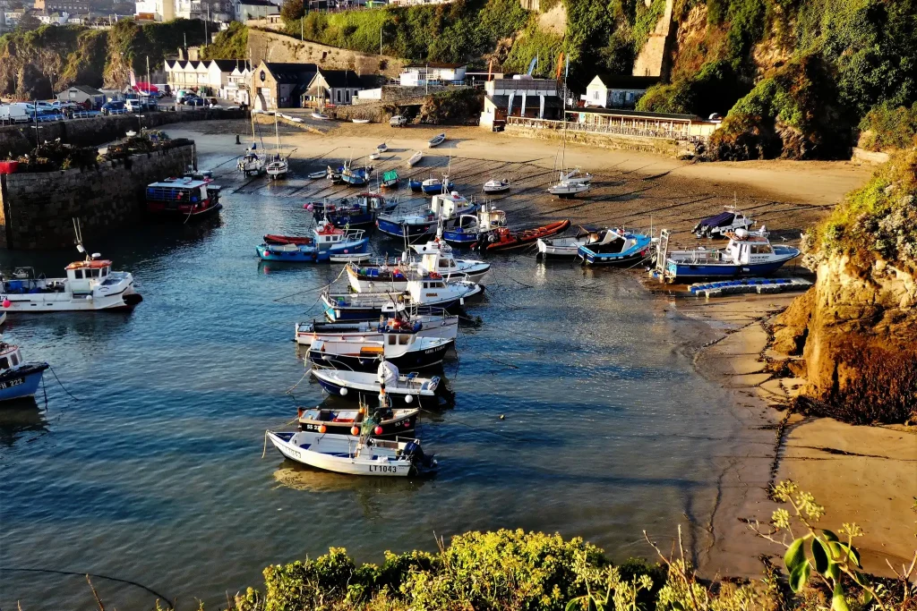 The Boathouse Street Food on the Beach Harbour View