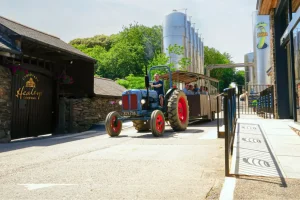 Healeys Cornish Cyder Farm Activities