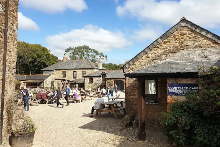 Healeys Cornish Cyder Farm Outdoor Area.webp