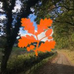 National Trust Penrose Logo.jpg