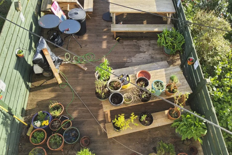 Rest a While Tea Garden Aerial View.webp