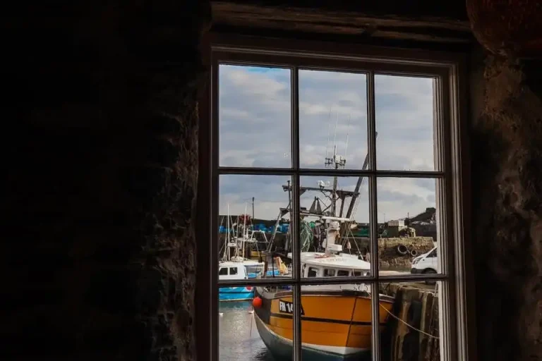 The Sharksfin View from Inside.webp