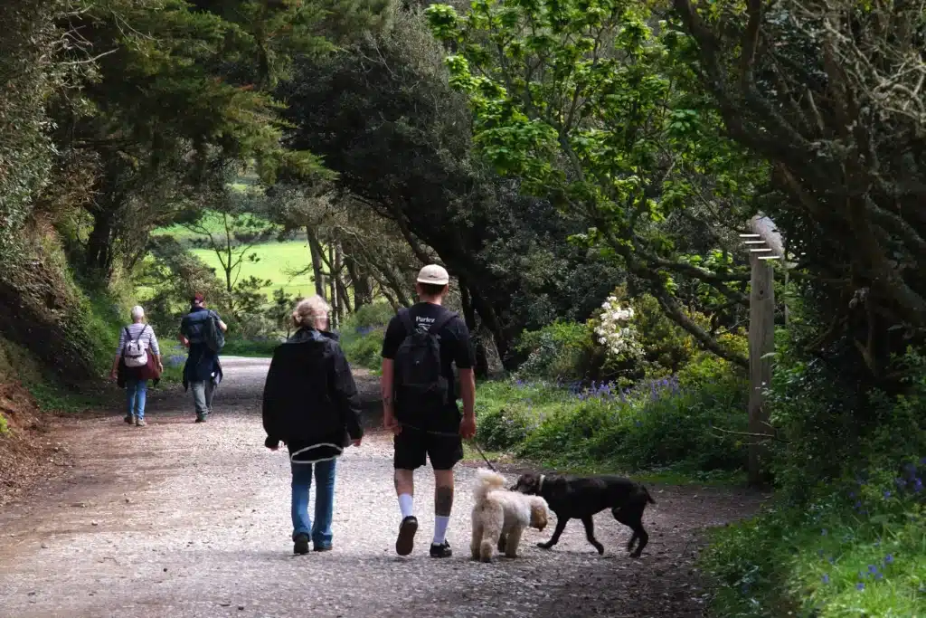 Walking Penrose Estate Cornwall by Elliot Walker