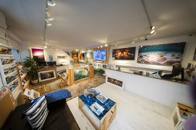 Waves Gallery Interior.webp